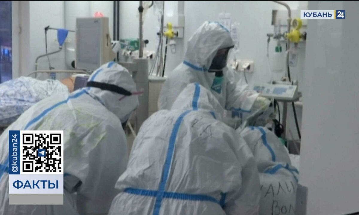    Видео канала «Кубань 24»