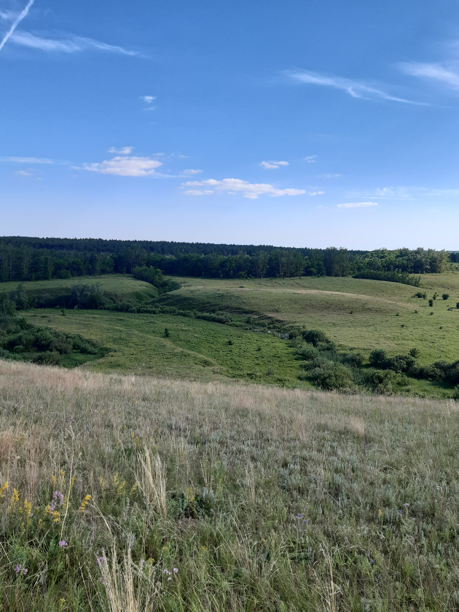 Архивное фото. Зелёные холмы, лесополосы, овраги, внизу протекает речушка. 