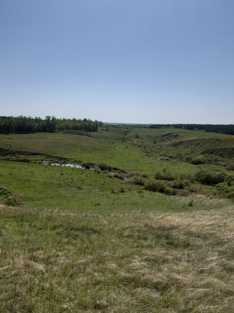 Архивное фото. Вот эта самая речушка поближе