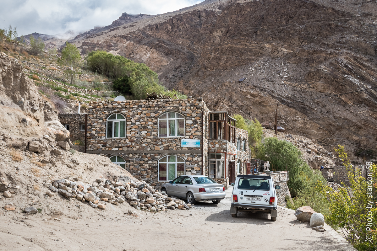 Белка у отеля "Би-Би Фатима-и Захро" утром следующего дня