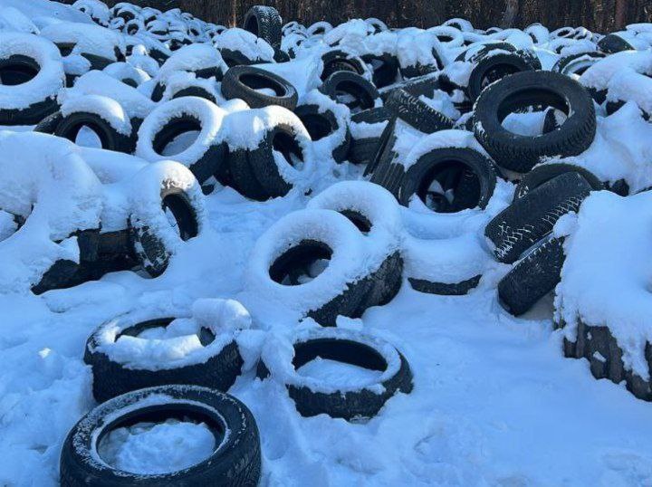    Воронежское минприроды потребовало от мэрии облцентра убрать свалку покрышек минприроды Воронежской области