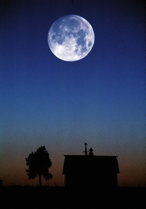 фото в свободном доступе