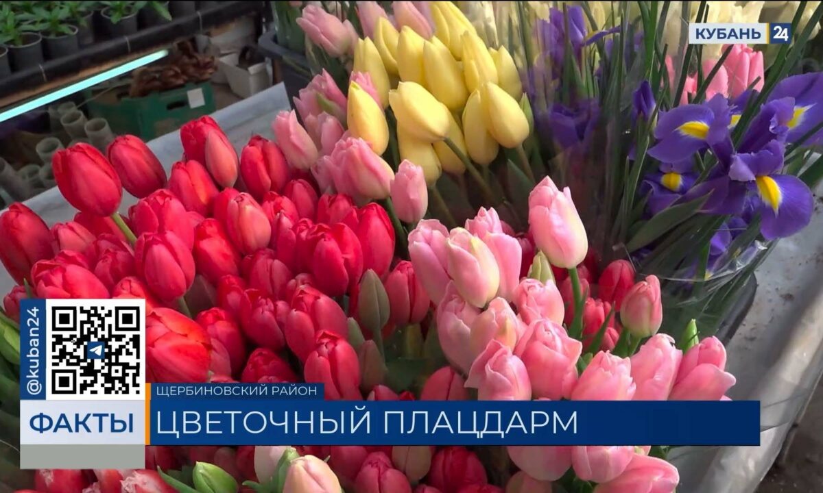    Видео канала «Кубань 24»