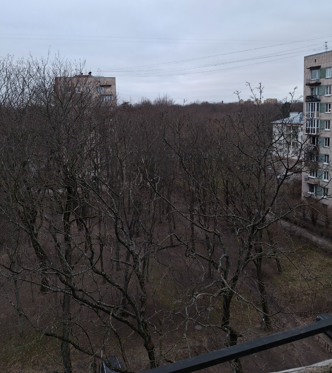 Фото автора. Снега с городе почти нет.