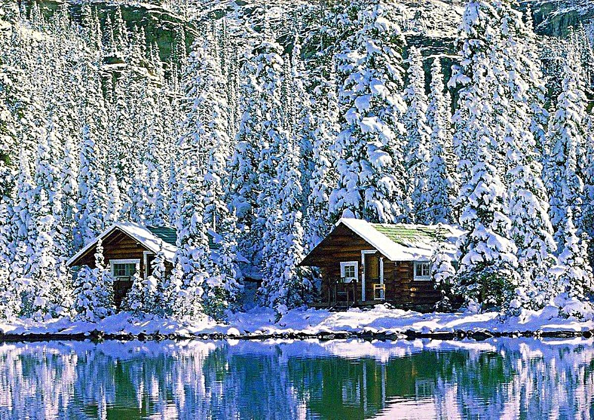 Фото взято из интернета.