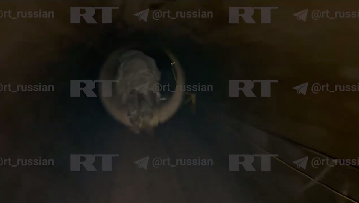    ФОТО: СКРИНШОТ ТГ-КАНАЛА T.ME/RT_RUSSIAN