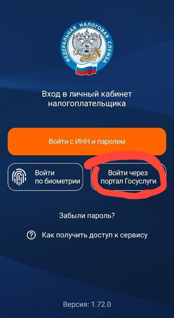 Установите мобильное приложение Налоги ФЛ