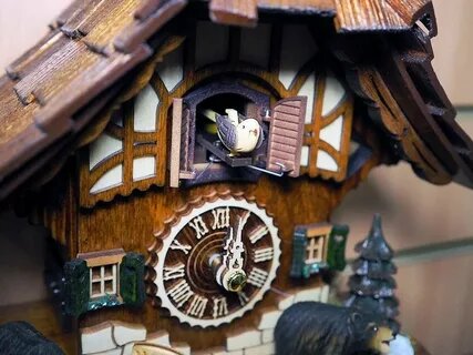 Фото из открытого источника Интернета