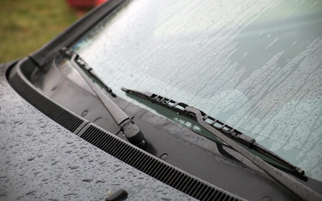 Фото: Shutterstock