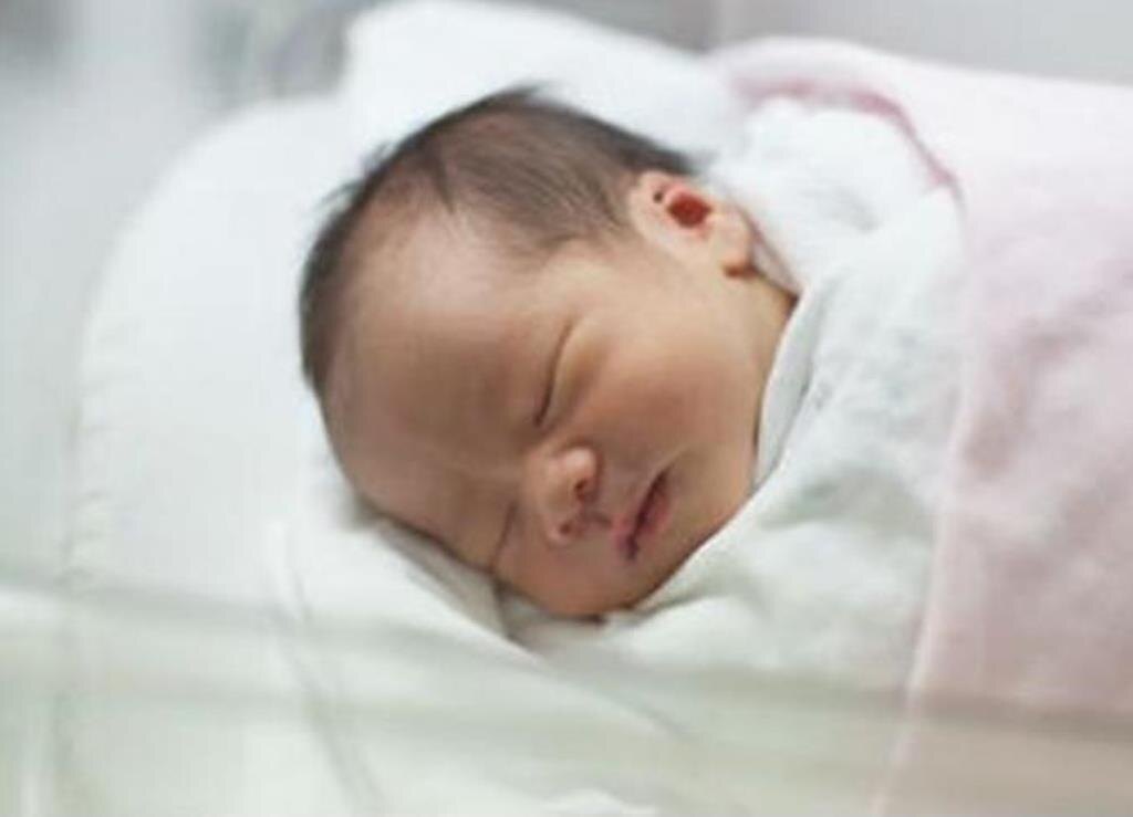 Фото из открытых ресурсов интернета