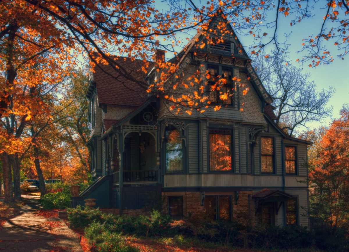 Фото из открытых ресурсов интернета