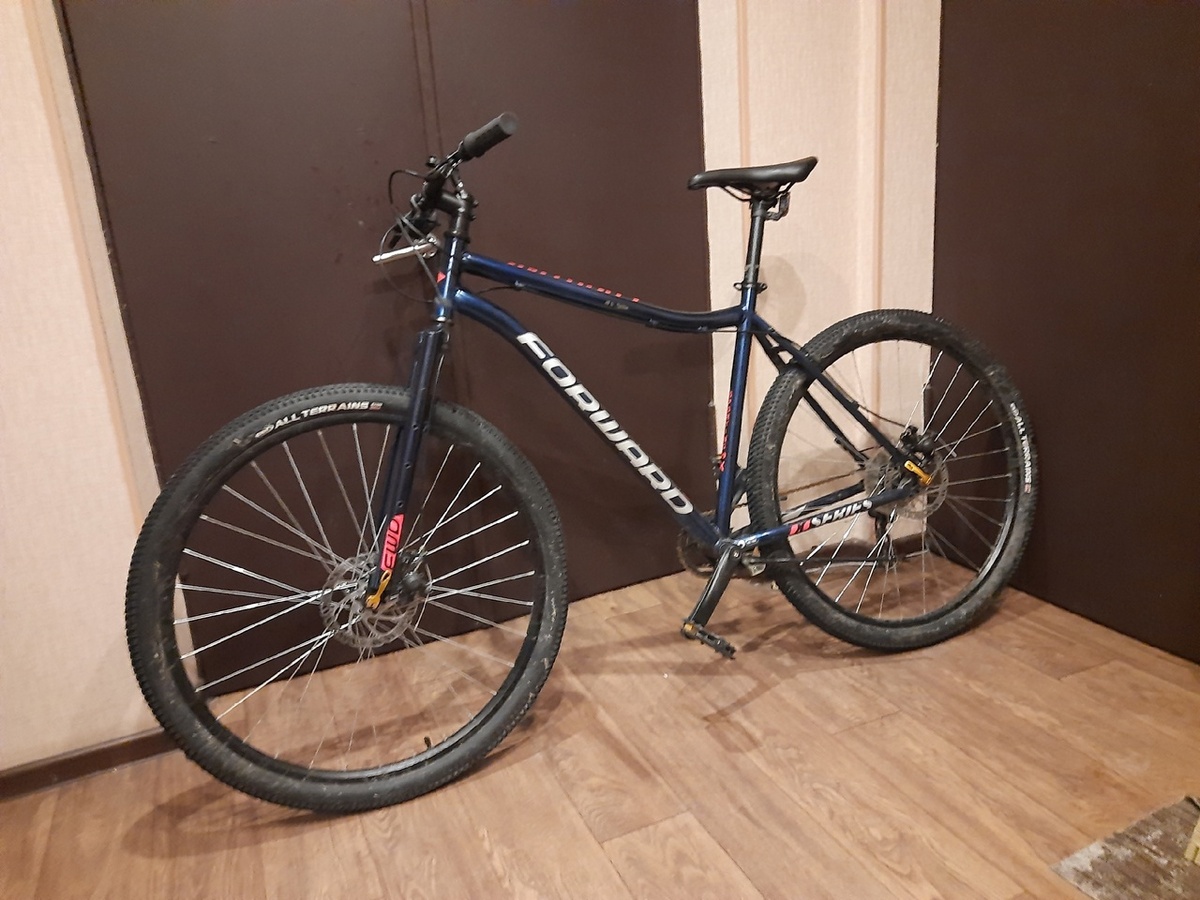 Я не самозванец, у меня Forward Sporting 29 X D 2022 года.