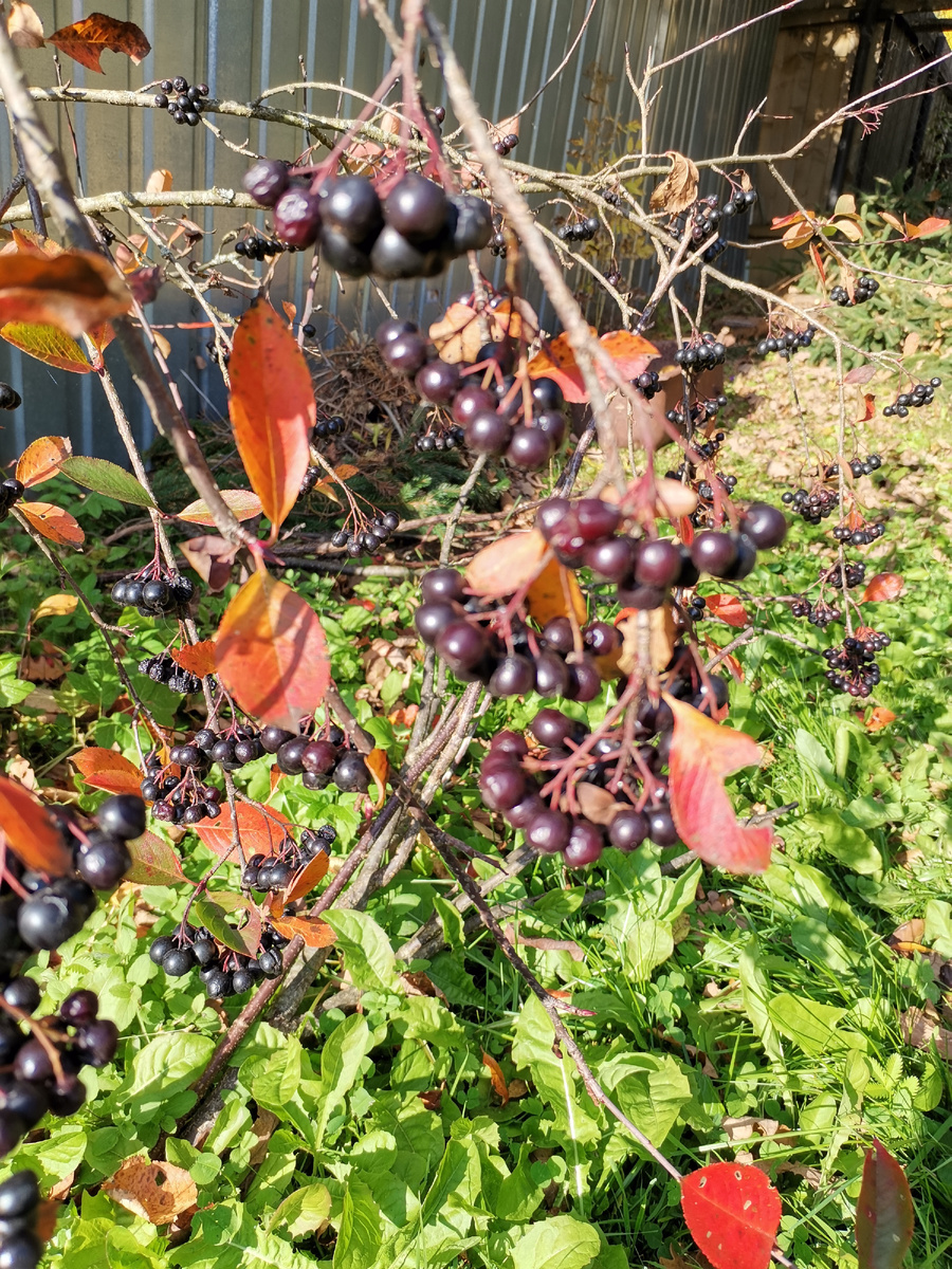 Ничто не хуже и не лучше другого... Всё едино!