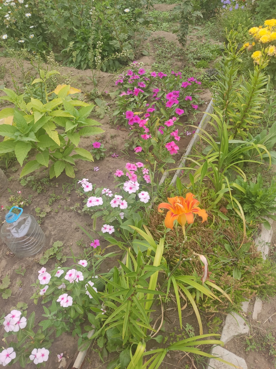 Начало июня