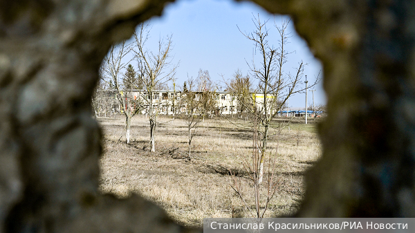     Фото: Станислав Красильников/РИА Новости   
 Текст: Андрей Резчиков