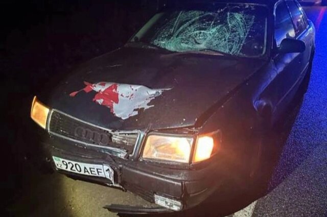    Автомобиль, который сбил Левона Галустяна. Фото: «АиФ-Калининград»/ Из архива семьи