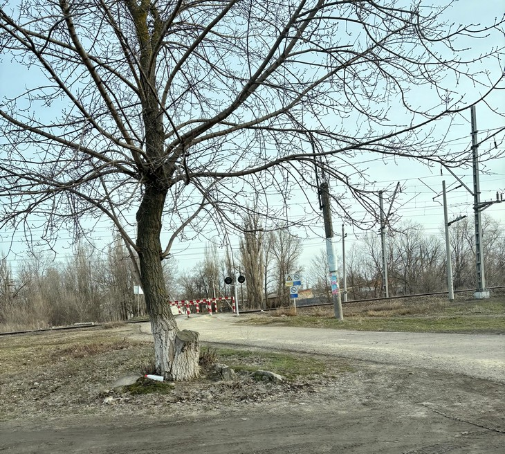 Фото "Родной стороны"