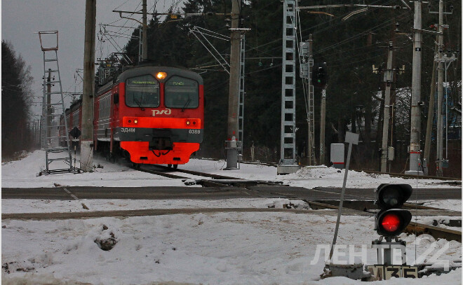    © Анастасия Илюшина / ЛенТВ24