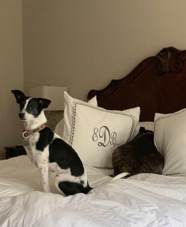    Принцип «Если я никого не вижу, то и меня не видно» всегда отлично работает!