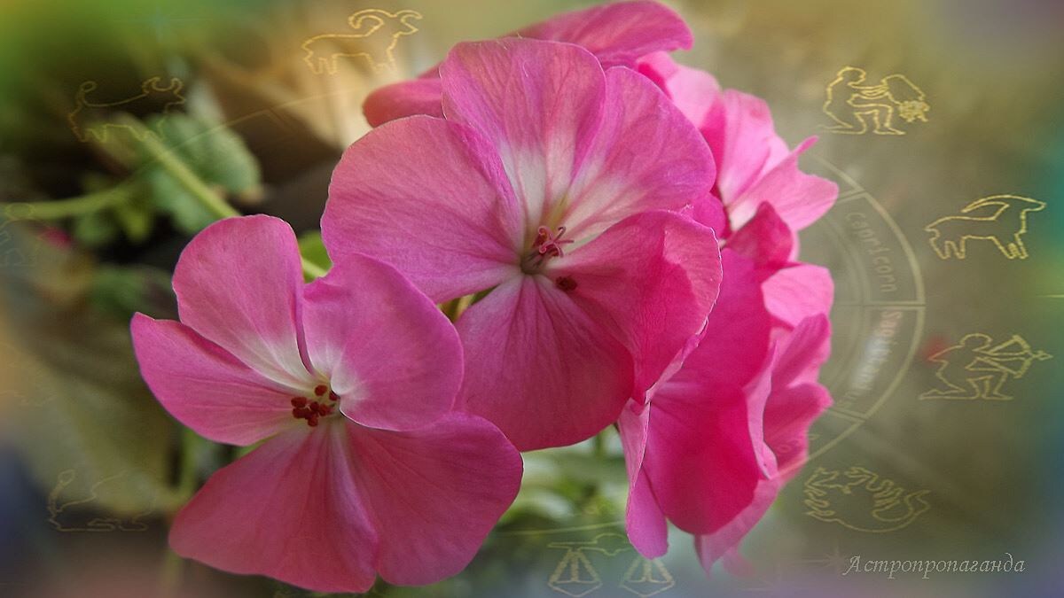 Гороскоп с 10 по 16 марта 2025: две ретро-планеты и лунное затмение. 