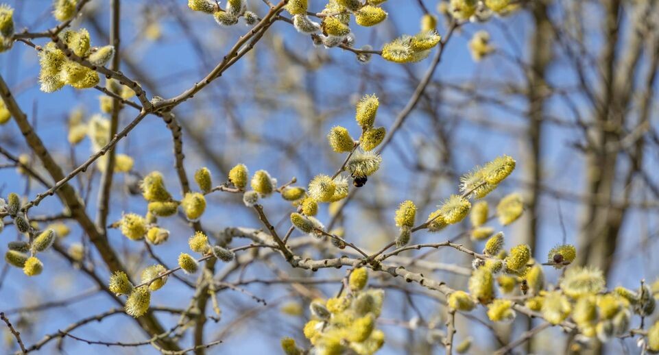    IMAGO/Zoonar.com/Achim Prill / www.globallookpress.com