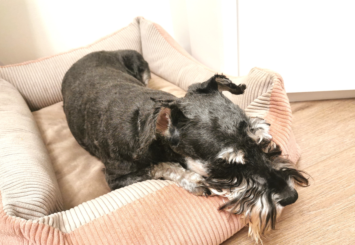 Джесси в своём домике