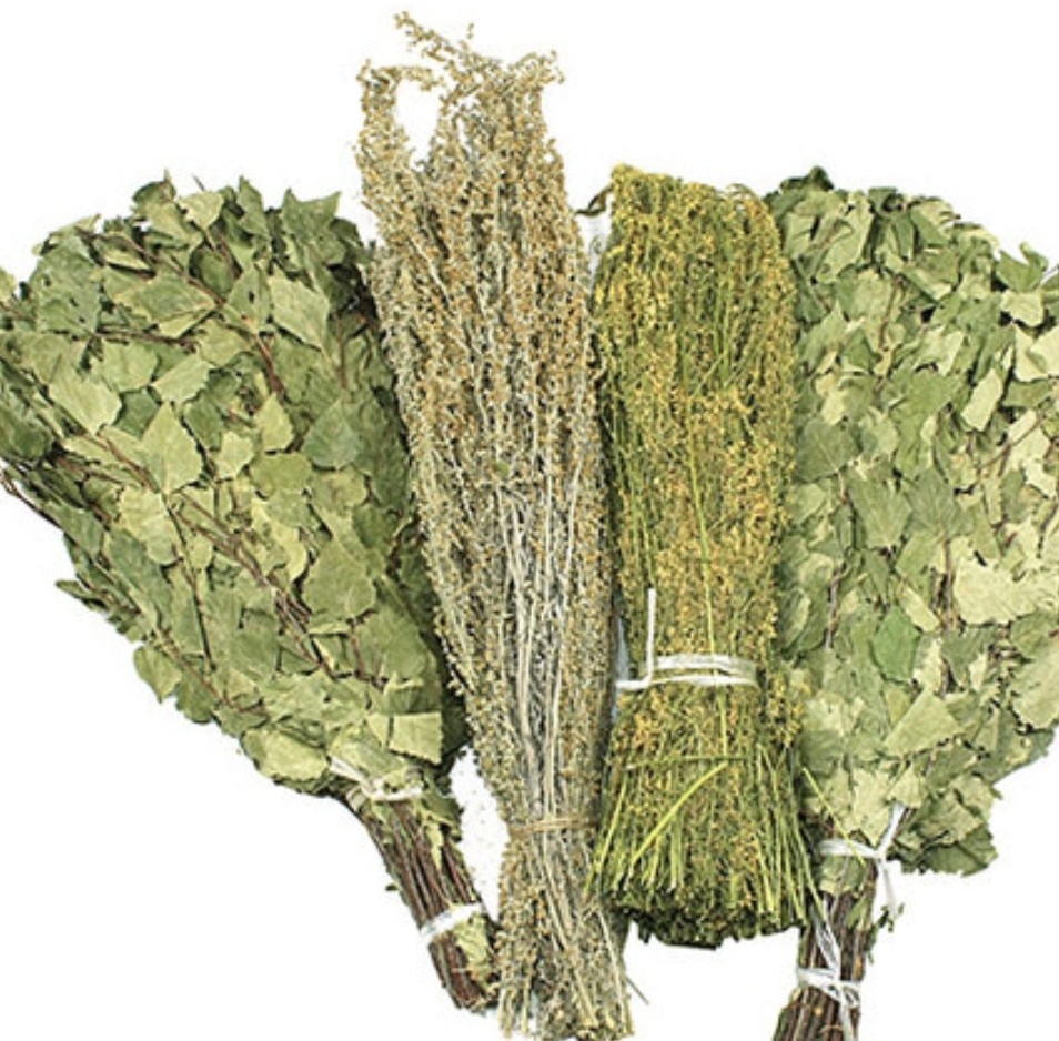 Разнообразие веников для бани