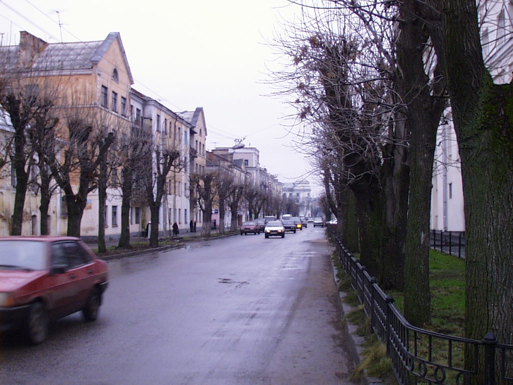 Улица Вольного Новгорода.