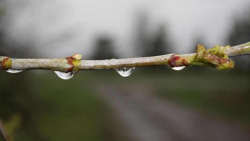 @EyeEm / freepik.com