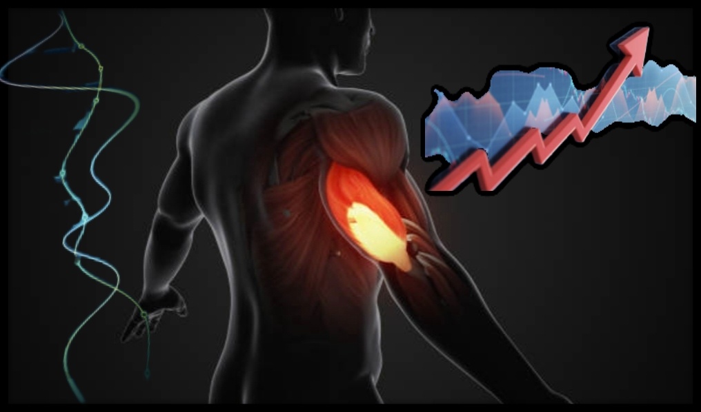 Источник: www.istickphoto.com