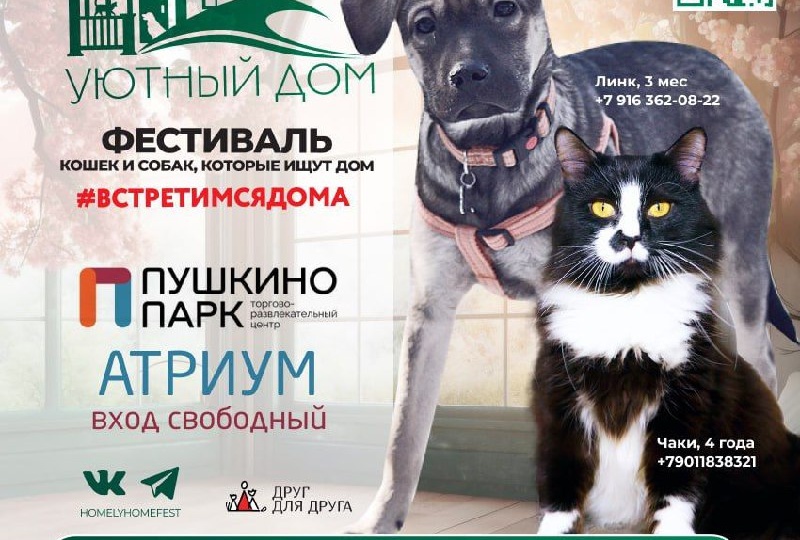 🐾ПРИХОДИ НА МЕНЯ ПОСМОТРЕТЬ…🔎