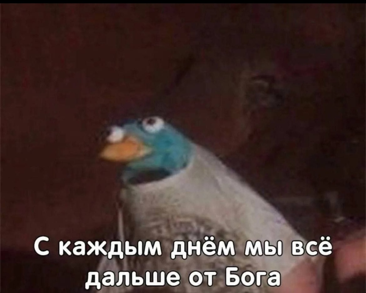 Картинка взята  из открытых источников 