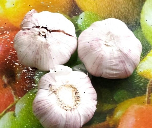 Люблю, когда головки крупные. С мелочью даже возиться не хочется.