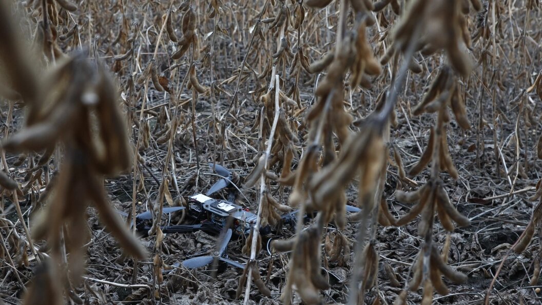    Фото: Shatokhina Natalya/Globallookpress