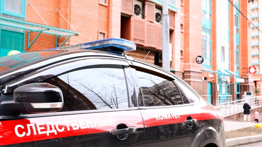    Фото: Roman Naumov/Globallookpress