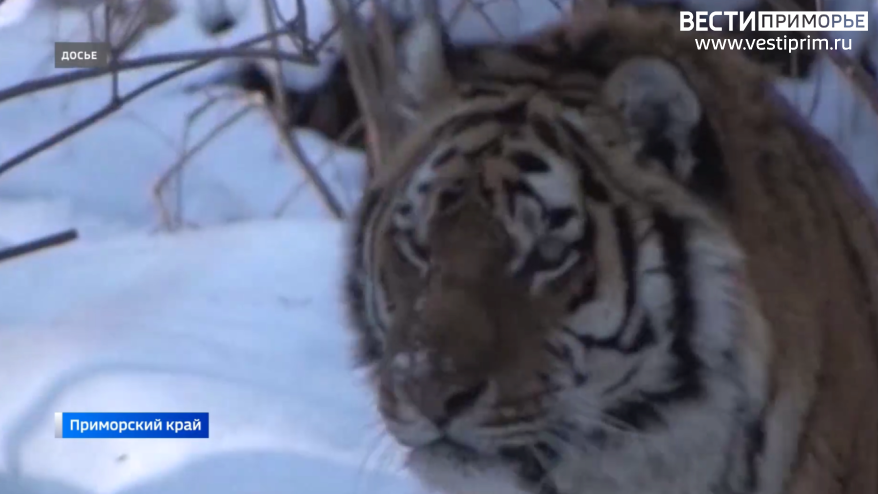    Источник фото: