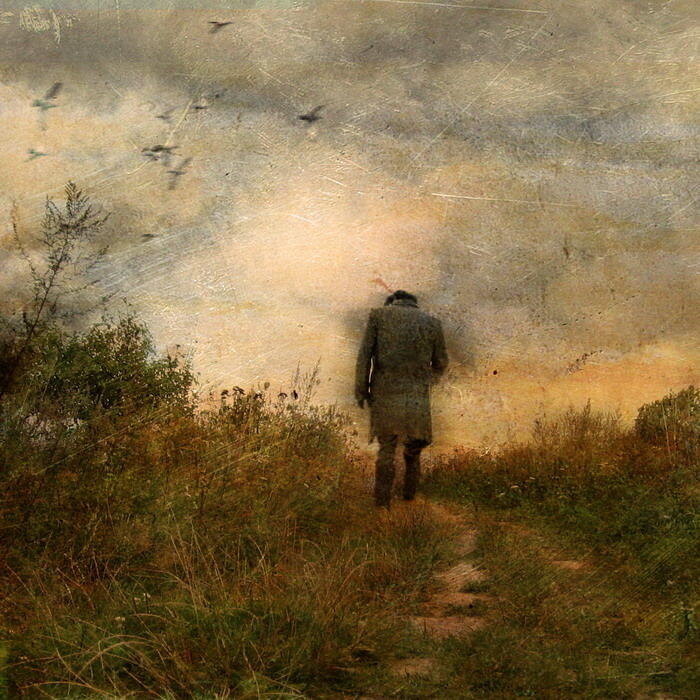 Изображение взято из открытых источников интернета. 