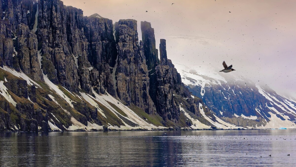    Фото: GTW/Shutterstock/Fotodom