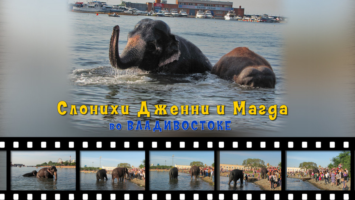 Владивосток 21 сентября 2012 года.