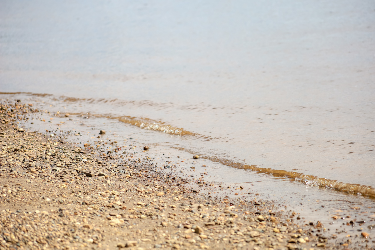 Проблема существует с октября 2024 года.  Фото: Фото: ФедералПресс / Елена Майорова