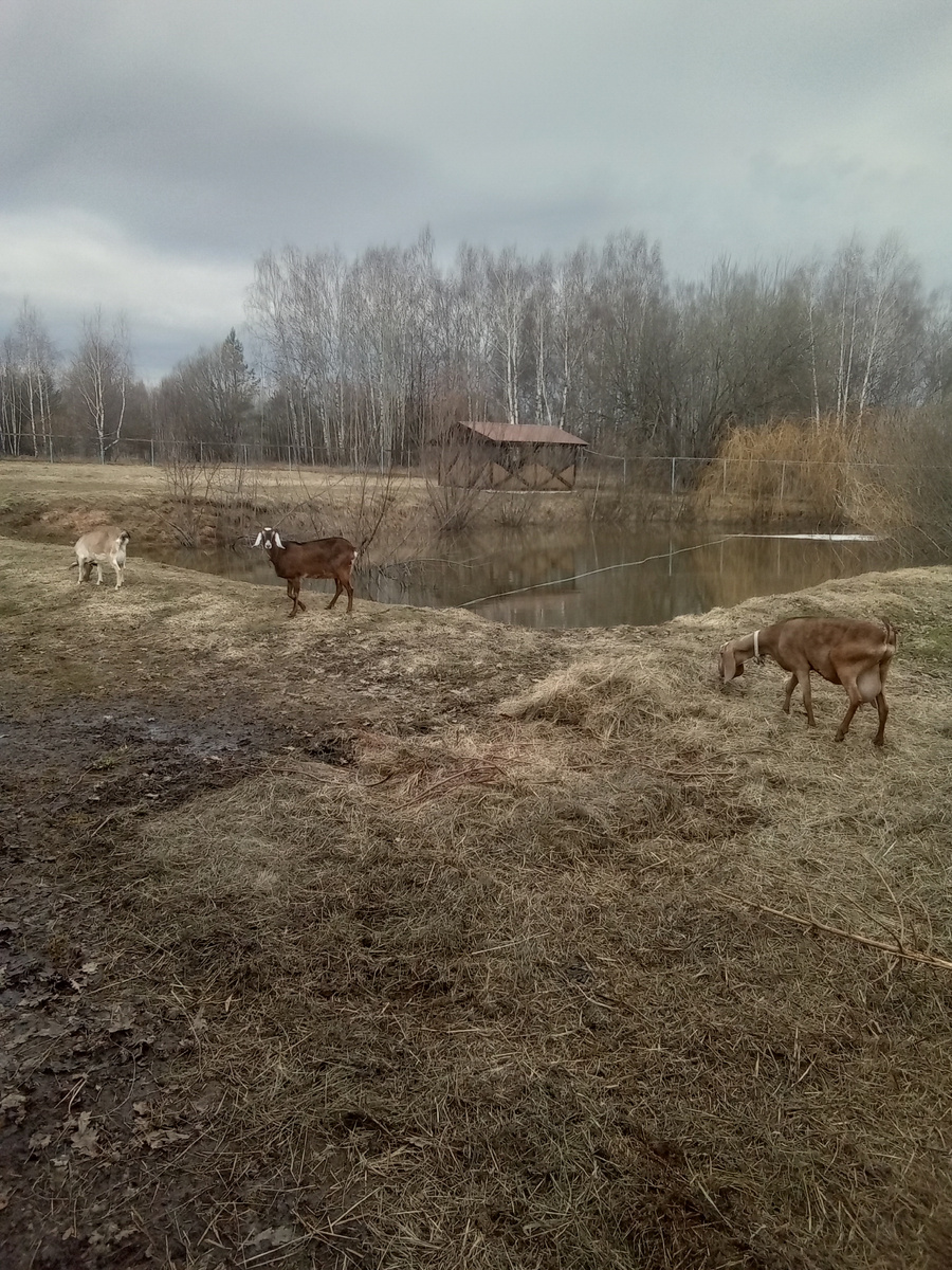 Фото автора.