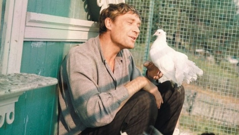 кадр из фильма