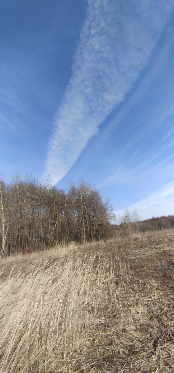 Личное фото