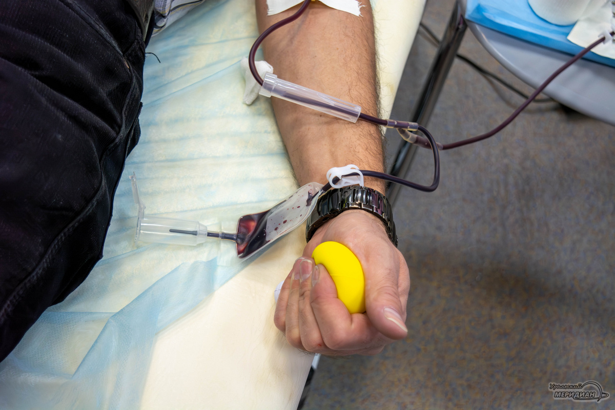    Фото: Галина Ниценкова © ИА «Уральский меридиан»