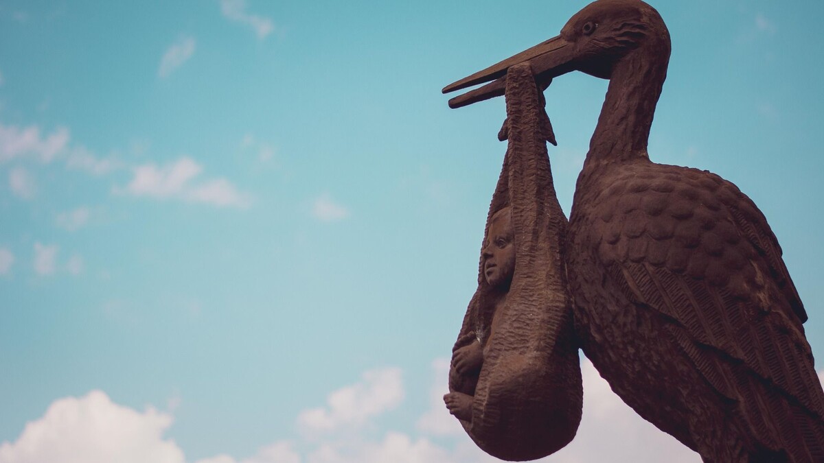     Источник: 1MI