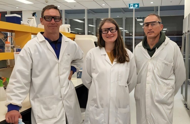    Глобальная агронаучная гонка за повышение устойчивости урожая азотфиксирующими культурами продолжается