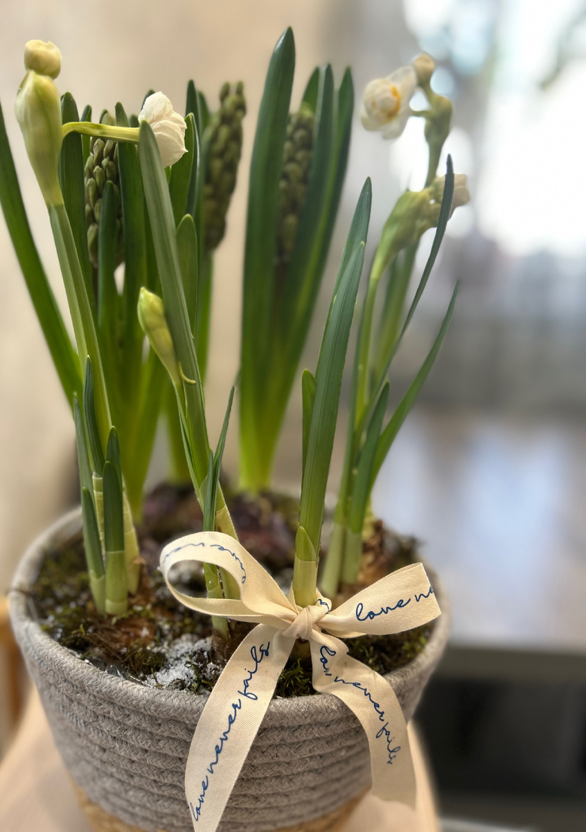 Моя корзиночка. Фотография автора канала.