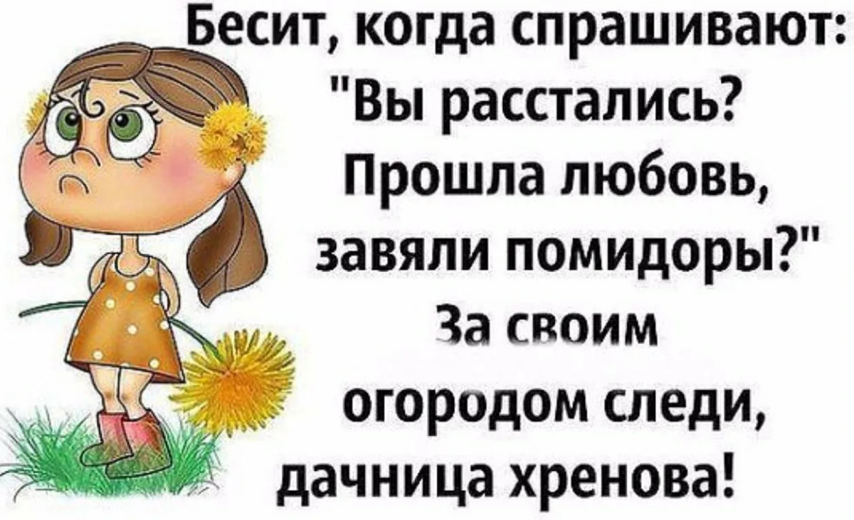 Яндекс картинки