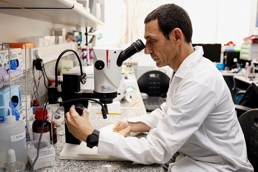    Фото: Amir Cohen / Reuters