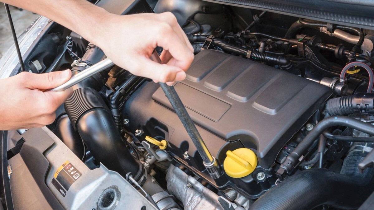    Фото: Marco Foresti/Shutterstock/Fotodom